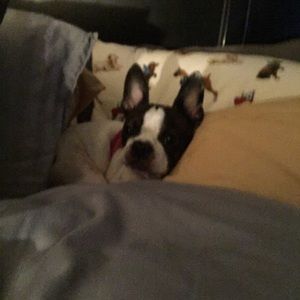 Meet your Posher, Elizabeth